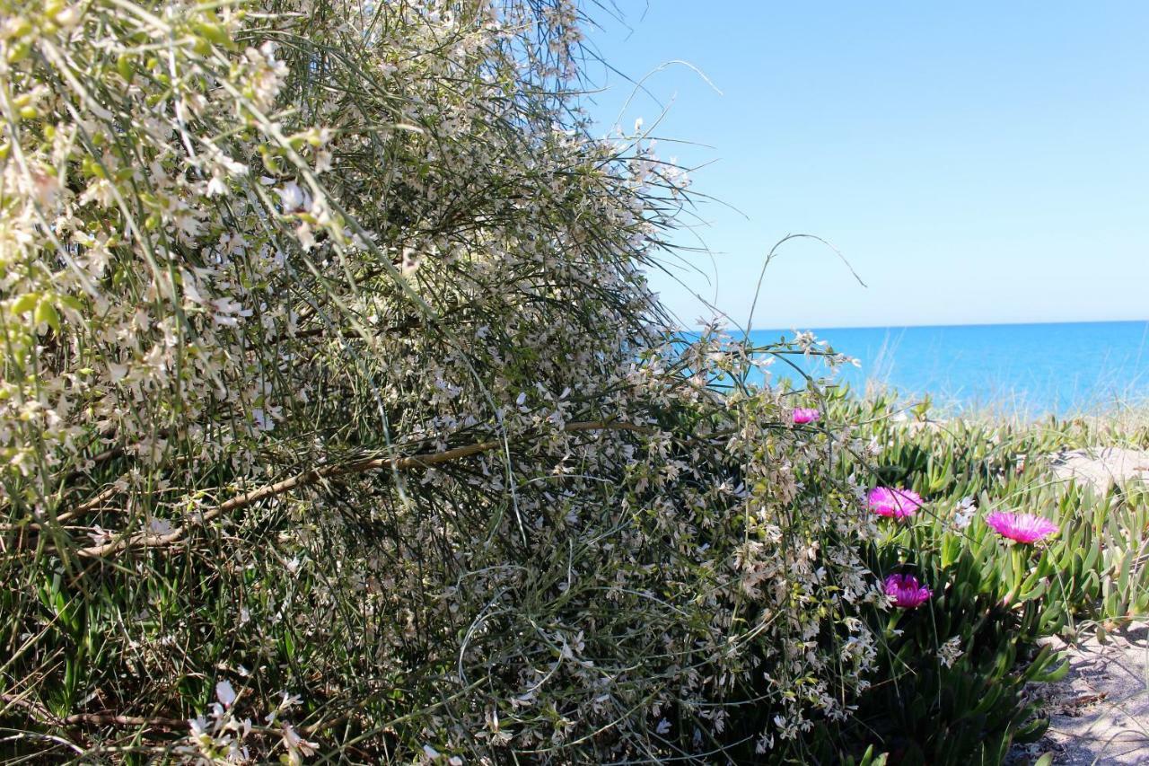 Bed and Breakfast Casa Mazzone Ciro Exterior foto